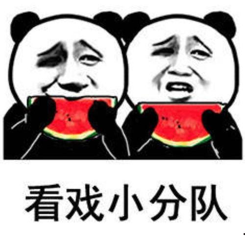 娱乐吃瓜表情图片大全集,带你领略网络搞笑瞬间