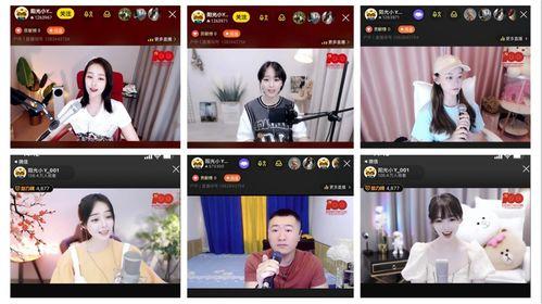 吃瓜大赛在线视频直播,全民互动，笑料横飞